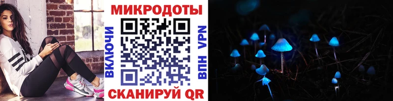 Галлюциногенные грибы Psilocybe  Купить закладки  Рассказово 